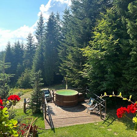 Lesna Bacowka Villa Nowy Targ Exterior photo